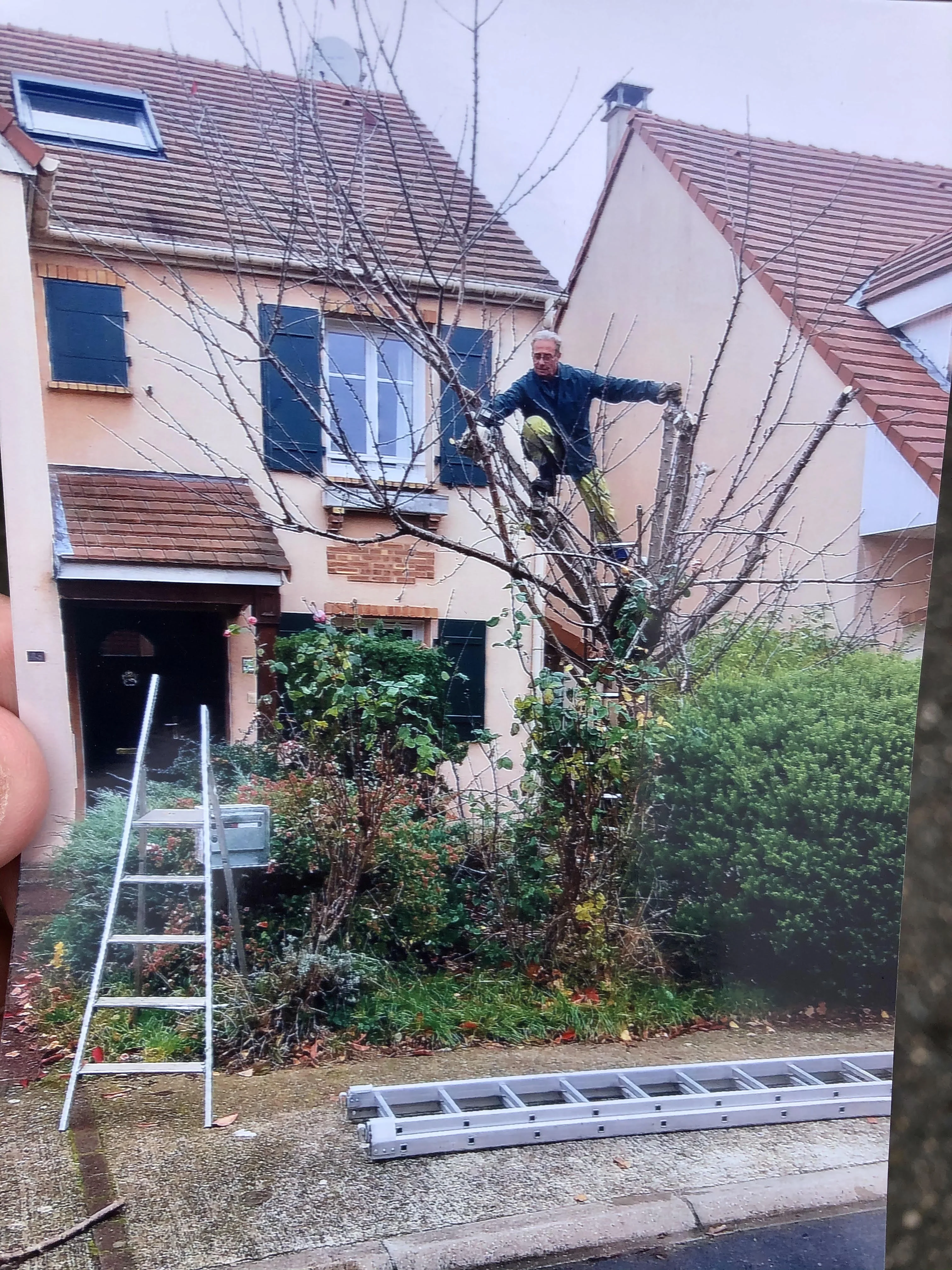 Élagage d'arbre sur chantier résidentiel en Essonne